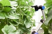 Picture of Boosting Durability of Electronics in Robotics, Grow Lights and Controllers for Indoor Farms